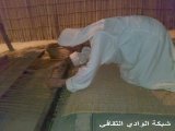 ���� �������11